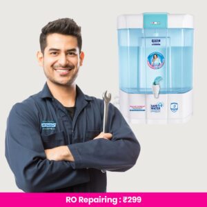Water Purifier Repairing
